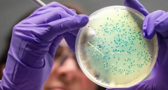 AI Helps MIT Discover Game-Changing Antibiotics